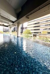 Zedge (D11), Apartment #532480011